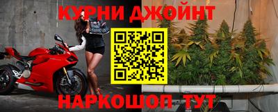 дурь Пугачёв